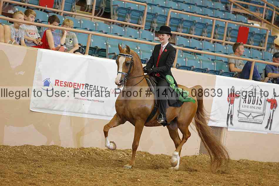 Proof 14yn_08639