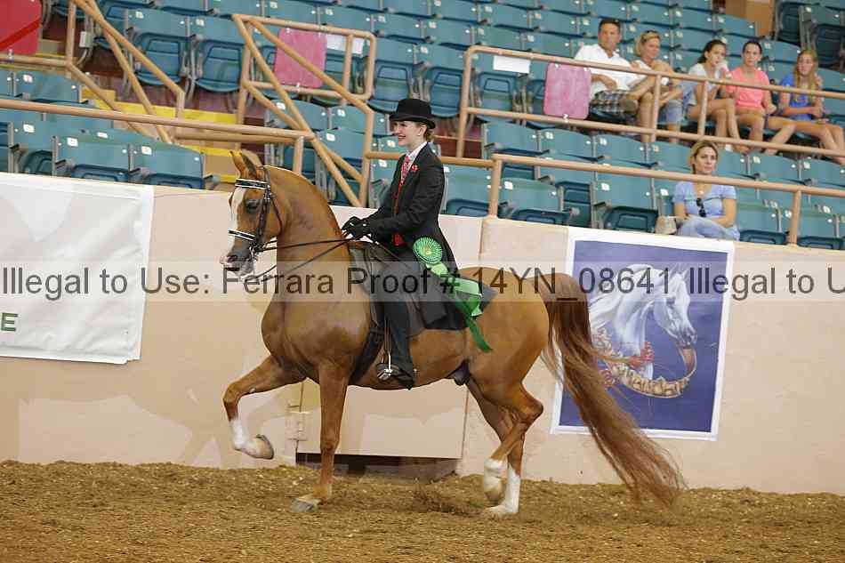 Proof 14yn_08641
