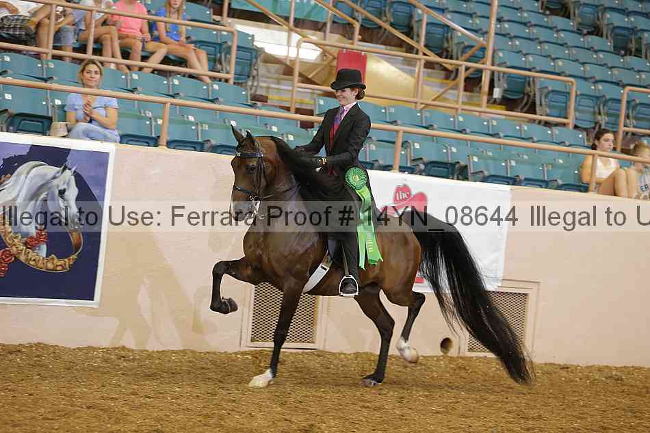 Proof 14yn_08644