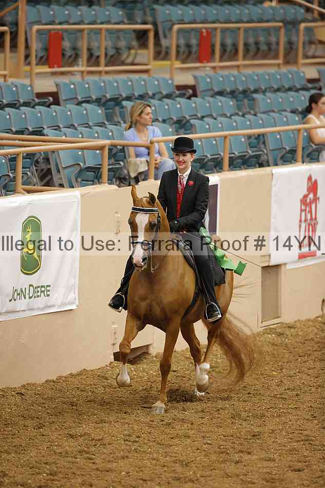 Proof 14yn_08646