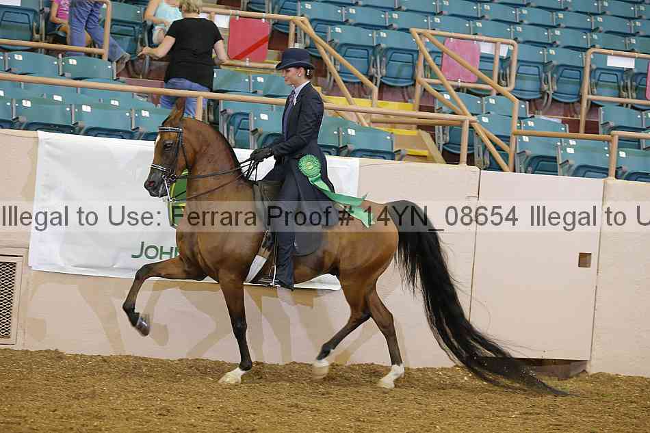 Proof 14yn_08654