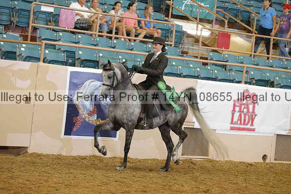 Proof 14yn_08655