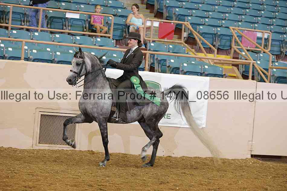 Proof 14yn_08656