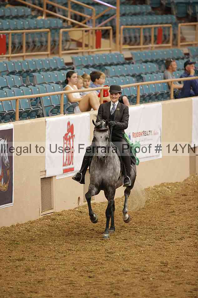 Proof 14yn_08657