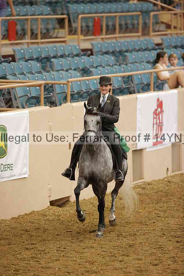 Proof 14yn_08658