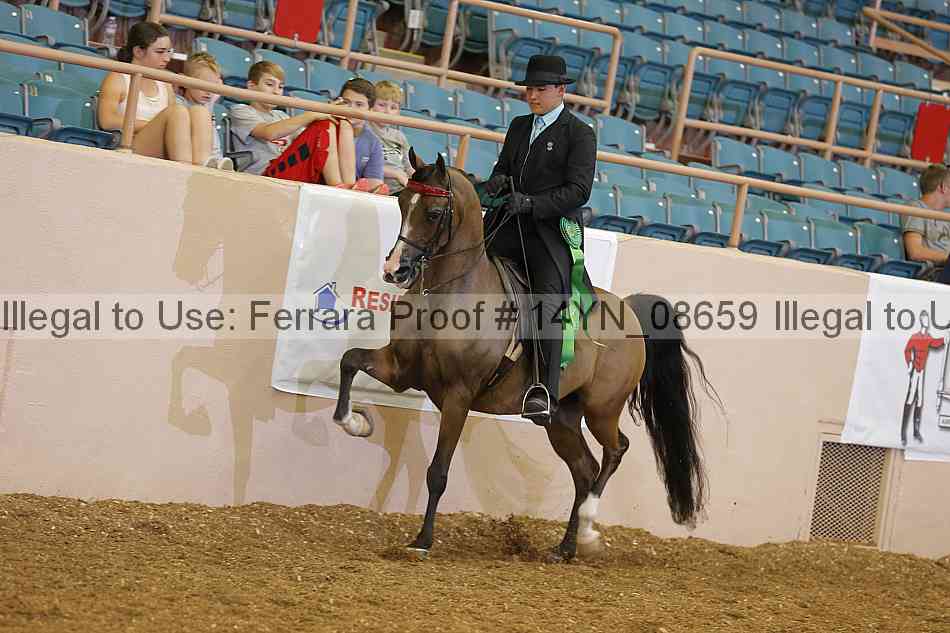 Proof 14yn_08659