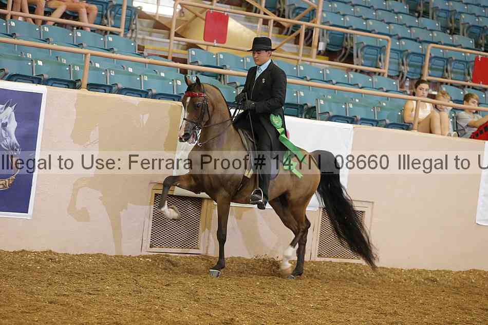 Proof 14yn_08660