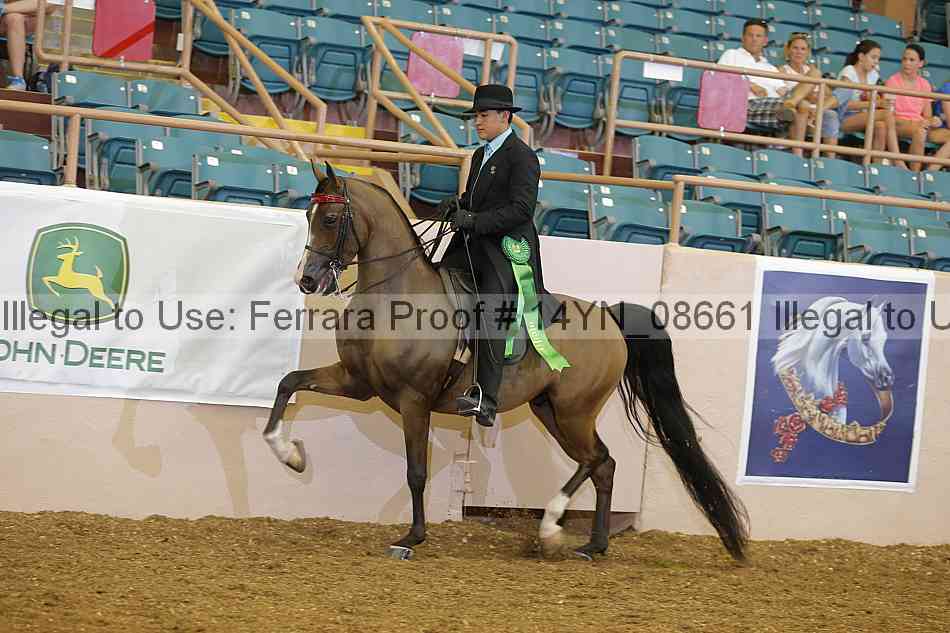 Proof 14yn_08661