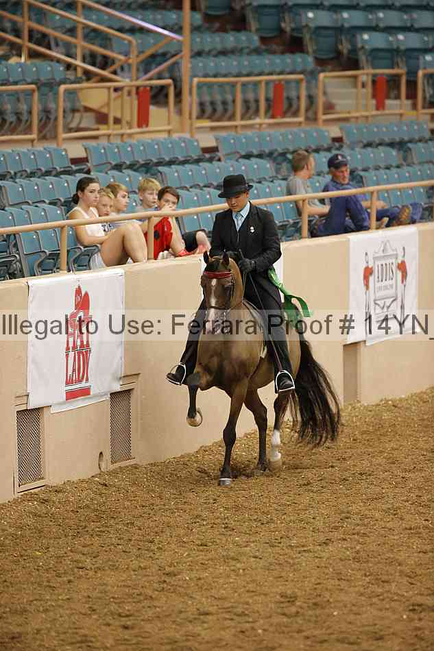 Proof 14yn_08662