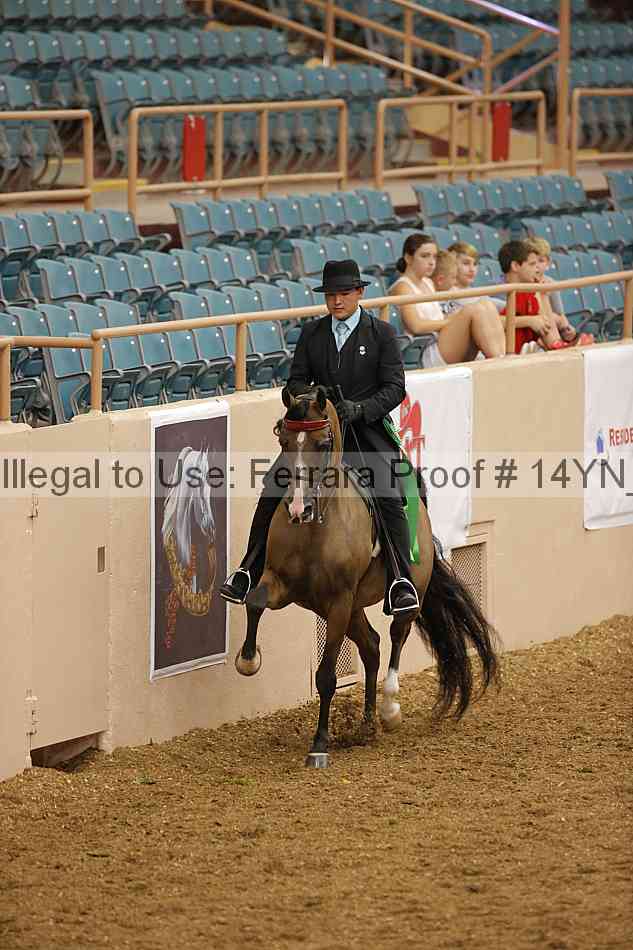 Proof 14yn_08663