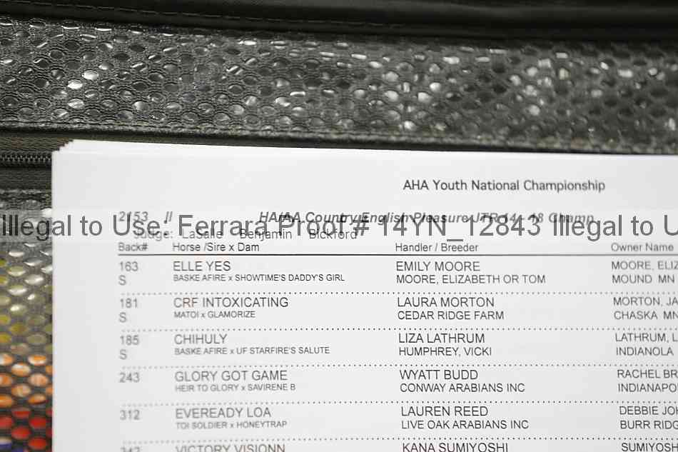 Proof 14yn_12843