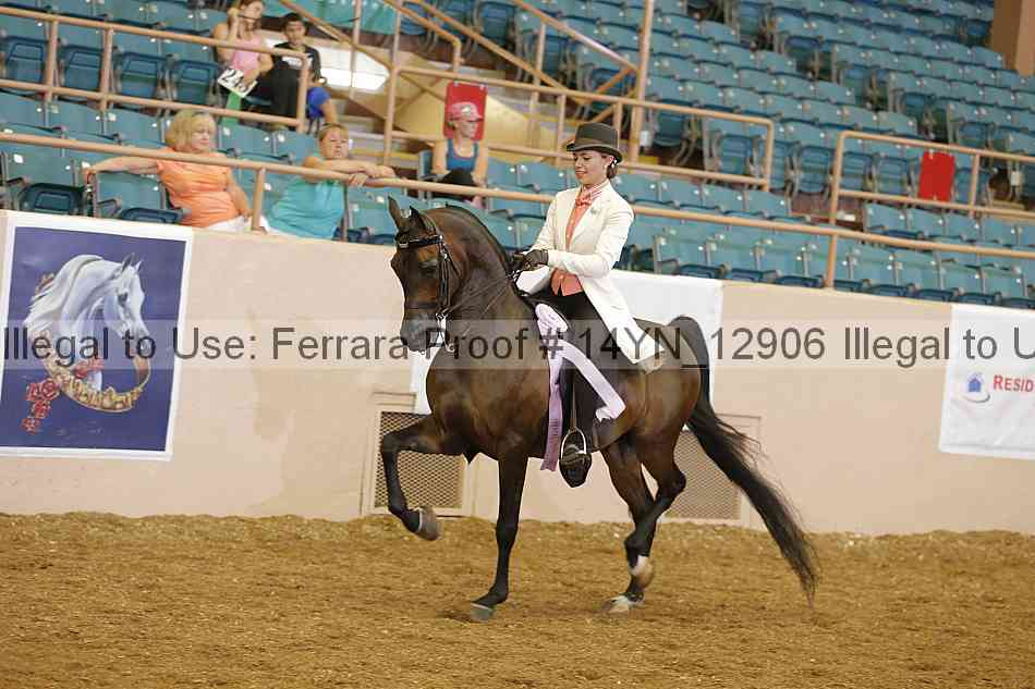 Proof 14yn_12906