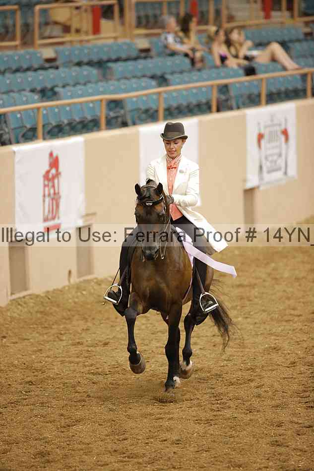 Proof 14yn_12907
