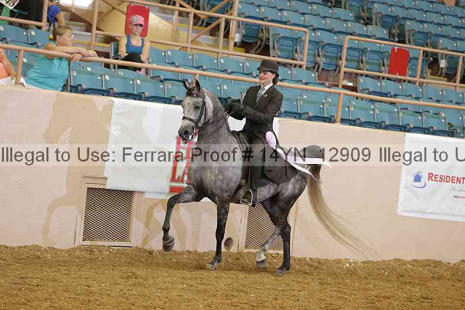 Proof 14yn_12909
