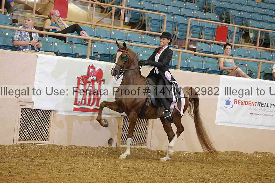 Proof 14yn_12982