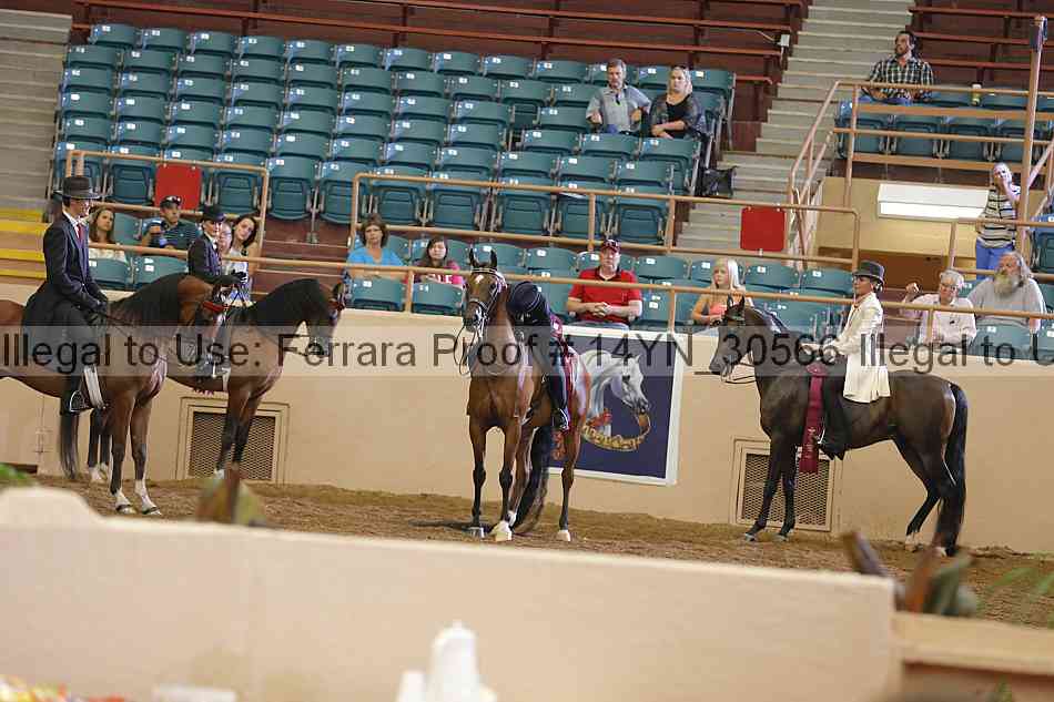 Proof 14yn_30566