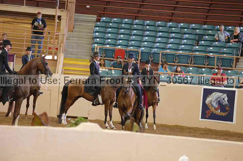 Proof 14yn_30567