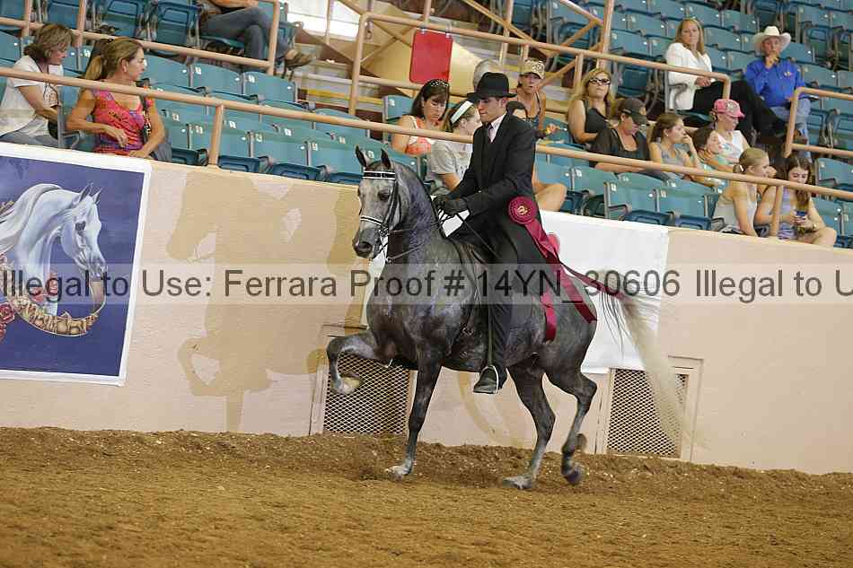 Proof 14yn_30606