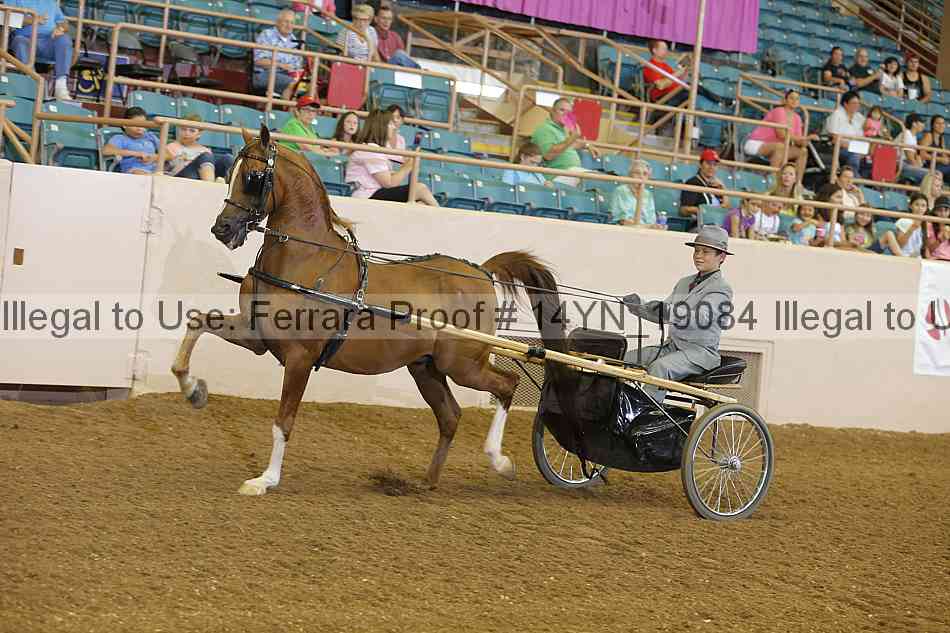 Proof 14yn_19084