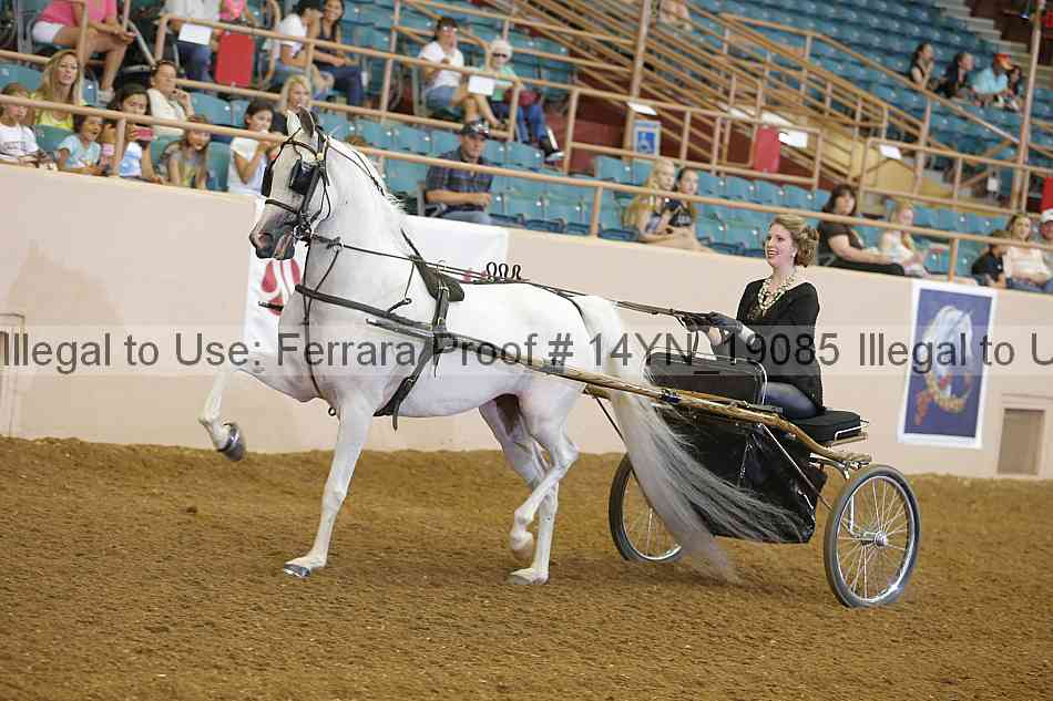 Proof 14yn_19085