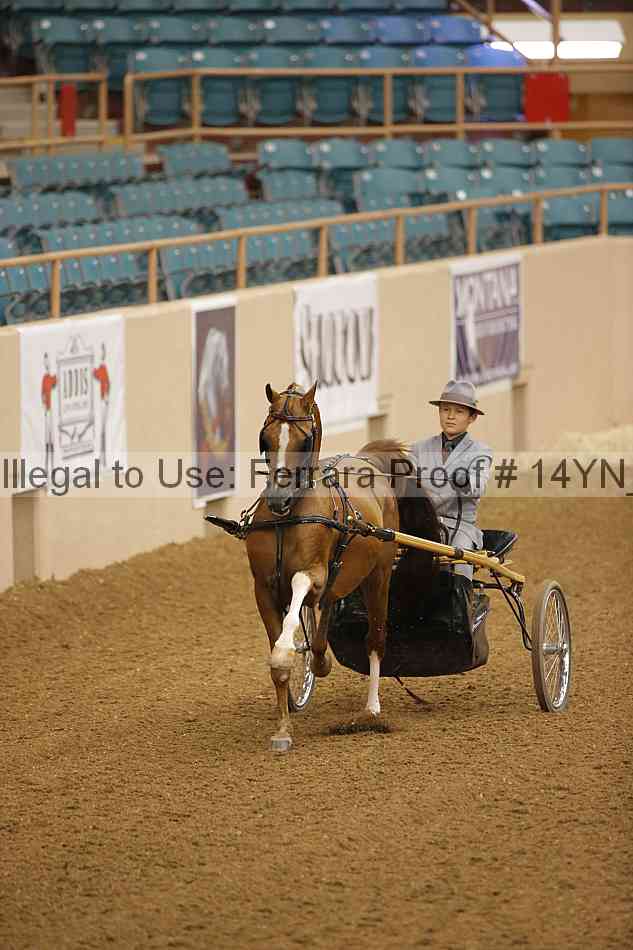 Proof 14yn_19086