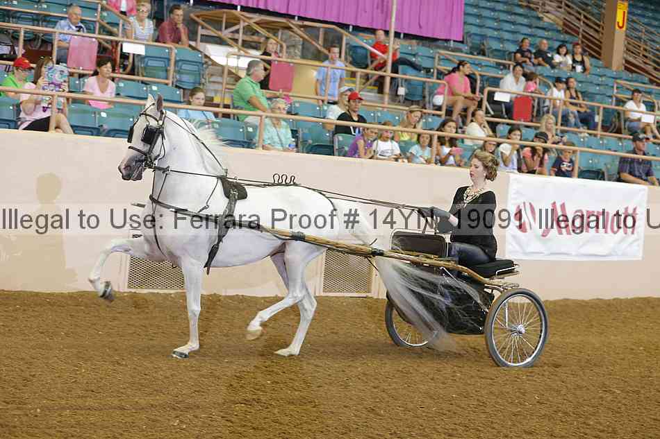Proof 14yn_19091