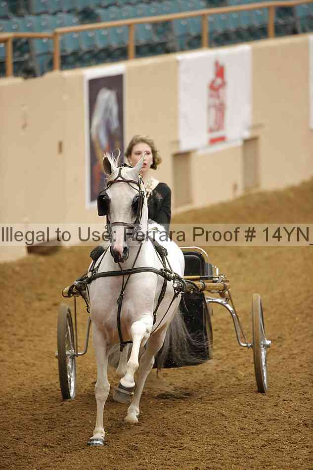 Proof 14yn_19092