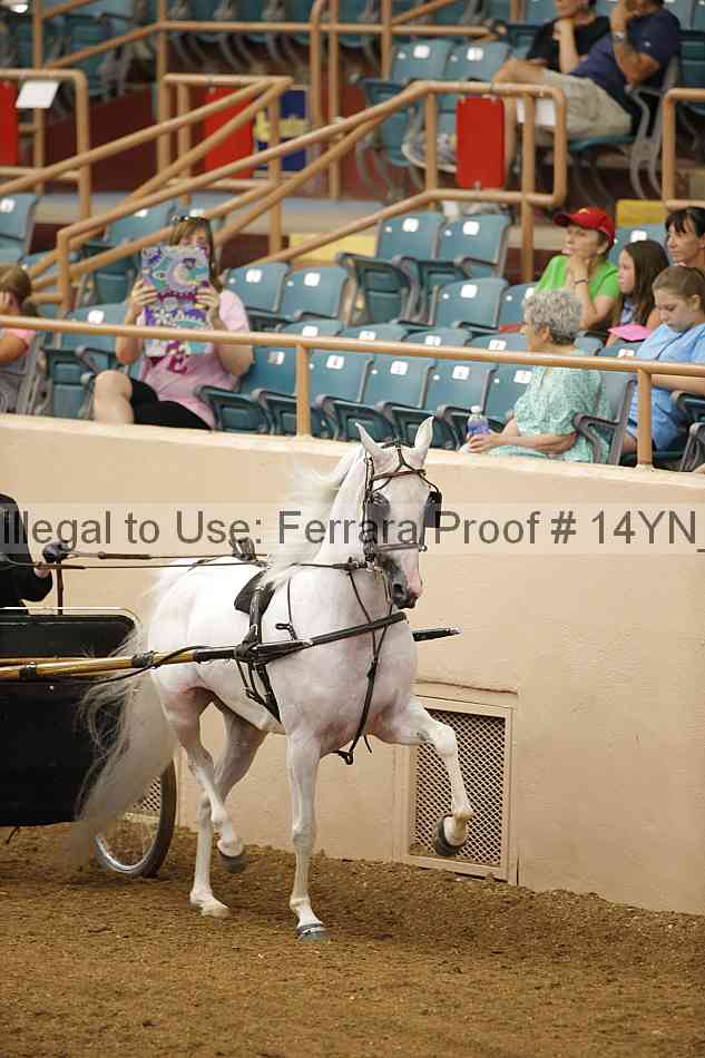 Proof 14yn_19093