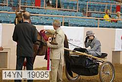 14yn_19095 proof