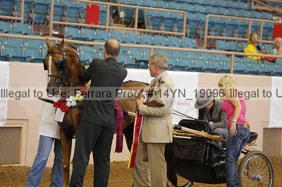 Proof 14yn_19096