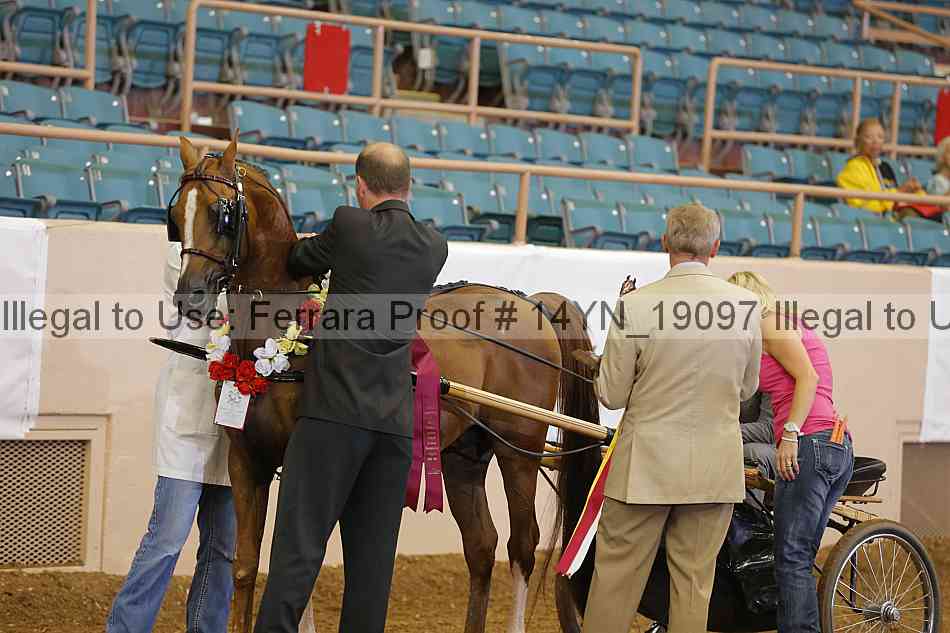 Proof 14yn_19097