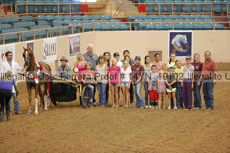 Proof 14yn_19102