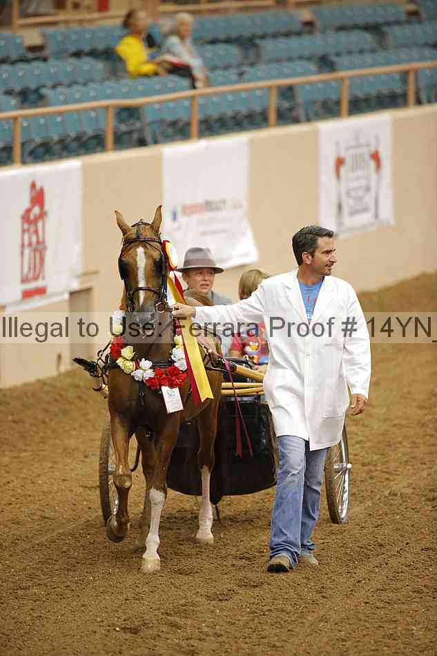 Proof 14yn_19114