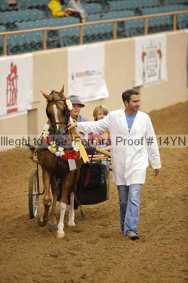 Proof 14yn_19115