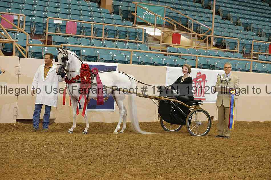 Proof 14yn_19120