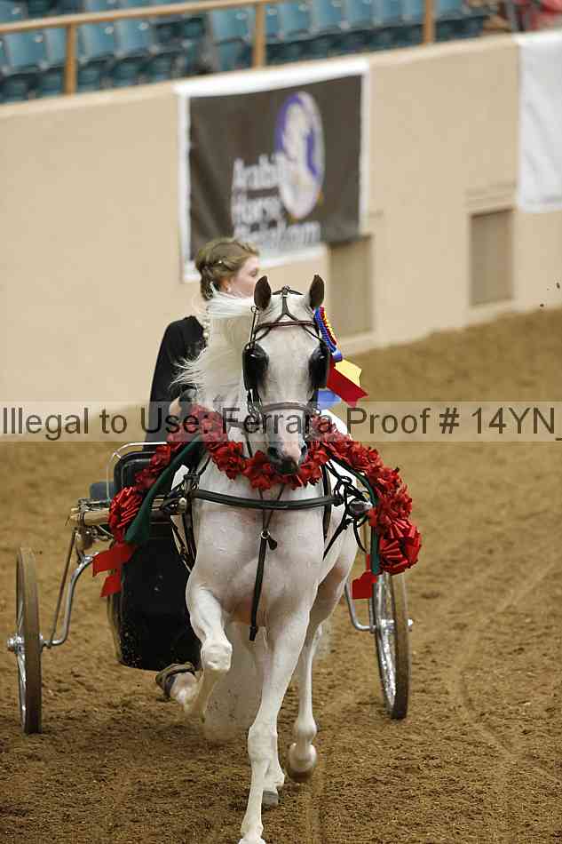 Proof 14yn_19142