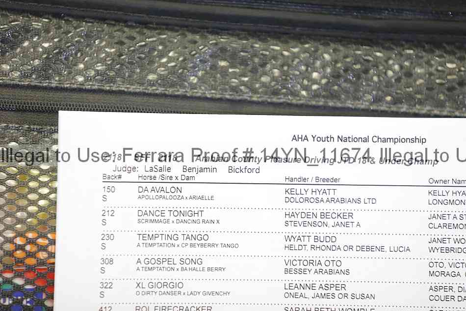 Proof 14yn_11674