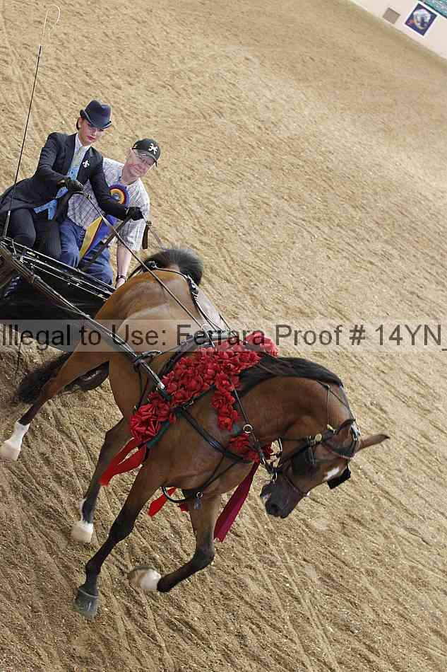 Proof 14yn_11807