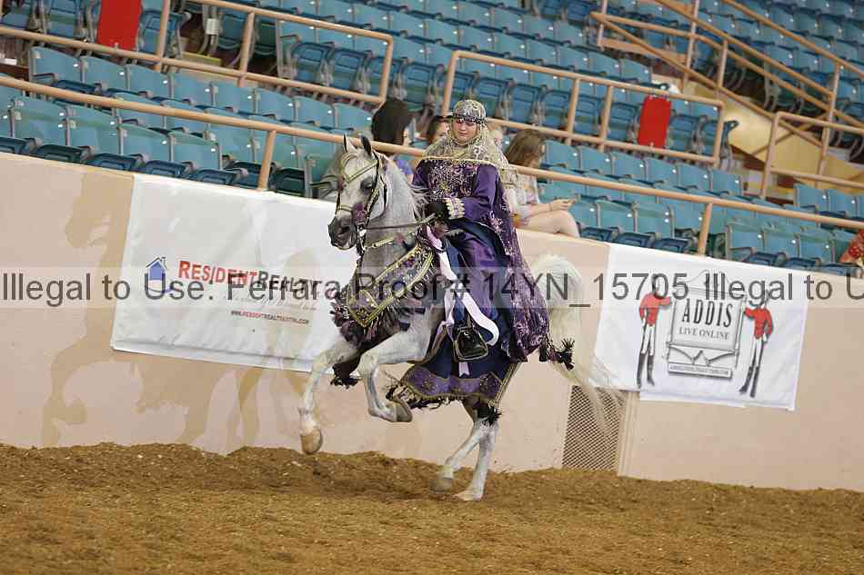 Proof 14yn_15705