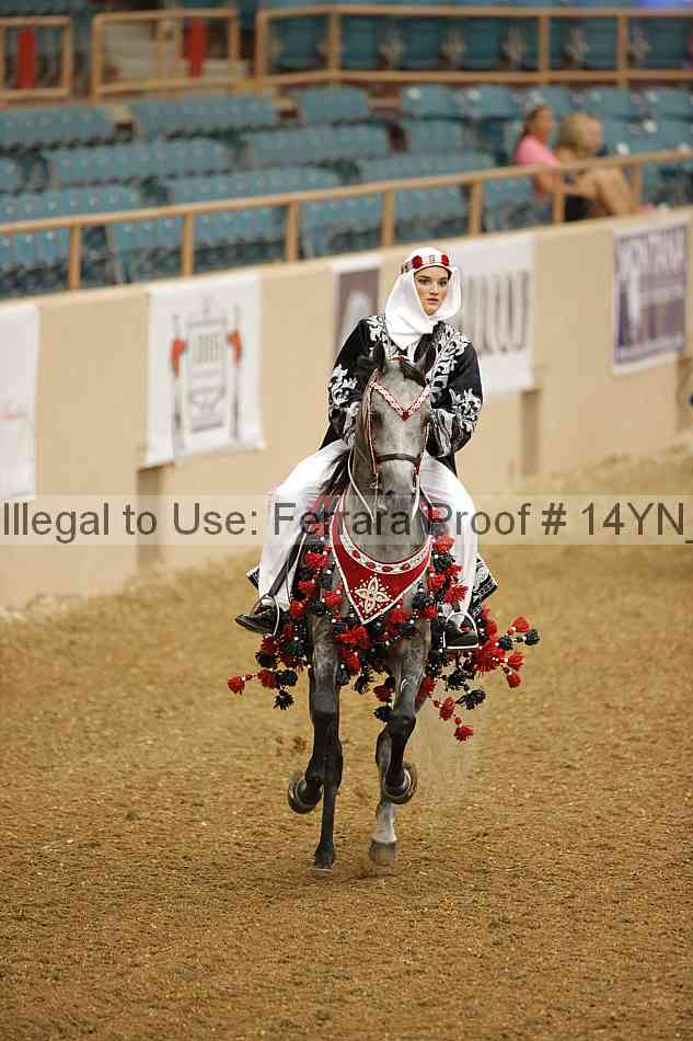 Proof 14yn_04951