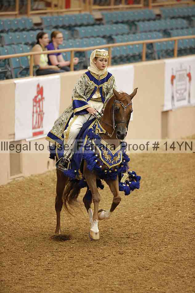 Proof 14yn_04953
