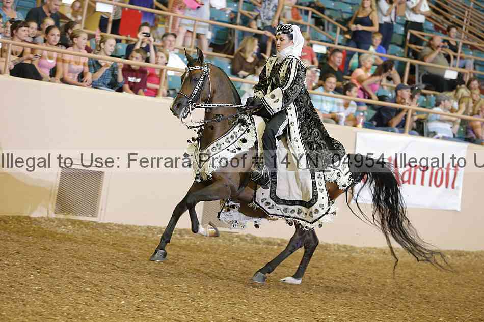 Proof 14yn_04954