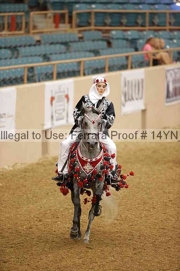 Proof 14yn_04962
