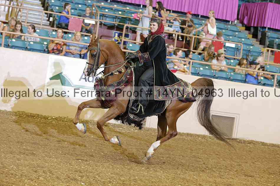 Proof 14yn_04963