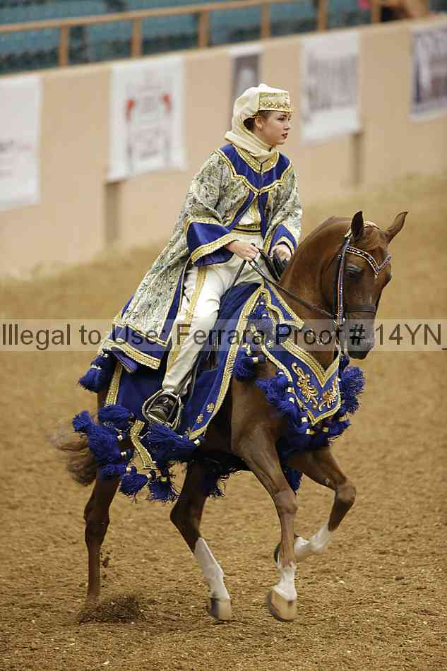 Proof 14yn_04964