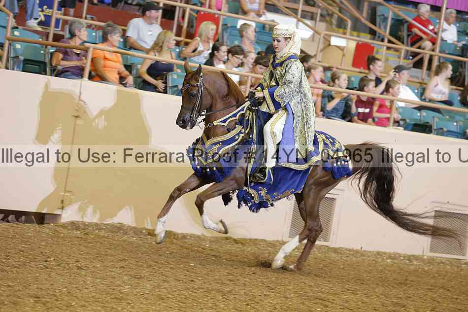 Proof 14yn_04965