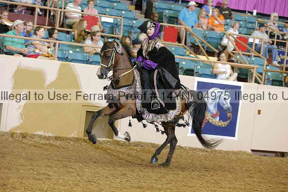 Proof 14yn_04975