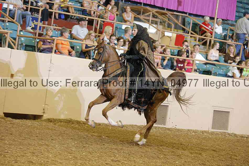 Proof 14yn_04977