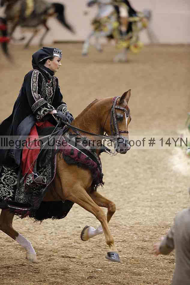 Proof 14yn_04994