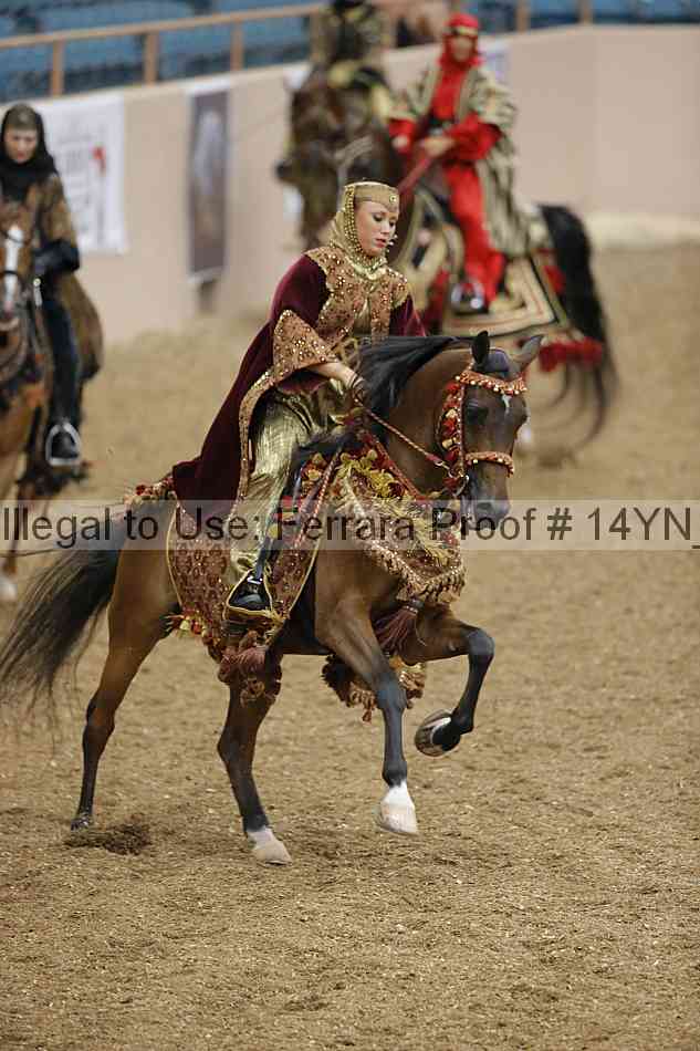 Proof 14yn_04995
